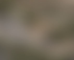 Israel intenta anexionarse los Altos del Golán duplicando la población israelí