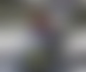 Hay más venta de vehículos para perros que para bebés en Corea del Sur