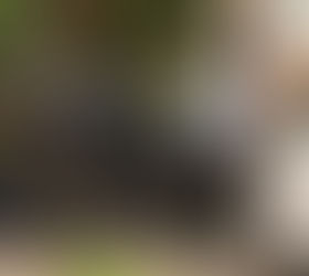 Ellos también tienen su informe: denuncia China violaciones de derechos humanos en Estados Unidos