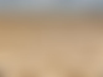 Ranking de protección del clima: China y Estados Unidos, los peor calificados