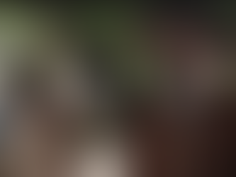 Llega el cine mexicano al 49º Festival Internacional de Cine de Toronto