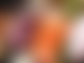 ¿Cómo cambian las necesidades de proteína con la edad?