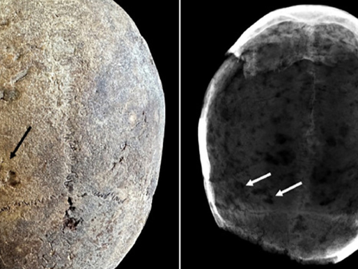 Hallan restos de cocaína en cerebros momificados de europeos