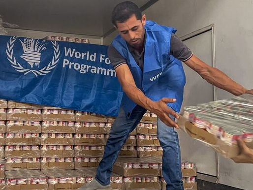 Asesinaron el año pasado a 383 trabajadores humanitarios, 181 de ellos en Gaza