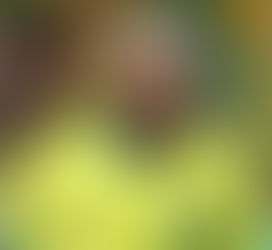 Neymar a punto de regresar a la cancha: un año lesionado