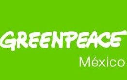 Pide Greenpeace poner freno a la basura electoral: contamina, entre otras cosas
