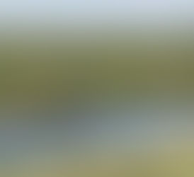 Fuerte caída de detenciones en frontera sur de Estados Unidos