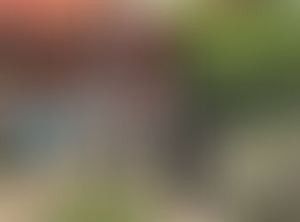 INM rescata en Tijuana a 300 migrantes de 36 nacionalidades en menos de un mes