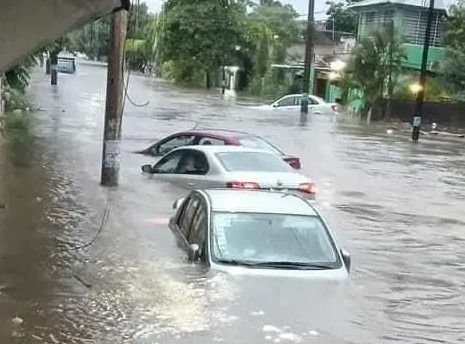 AMIS emite recomendaciones para autos siniestrados por lluvias