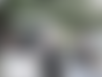 Extranjeros reciben información sobre posible megaterremoto en Japón