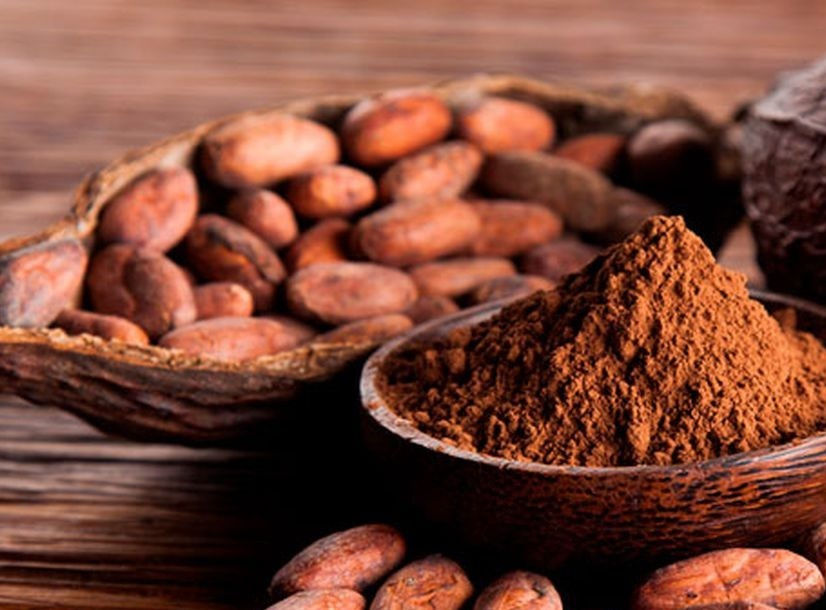 Alimento ayuda al corazón ante efectos negativos del sedentarismo