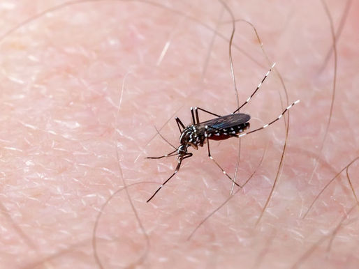 Suspenden también aplicación de vacuna contra la chikungunya en Estados Unidos