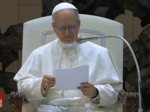 Pide el Papa una “profunda reflexión” sobre trato a migrantes detenidos en Estados Unidos