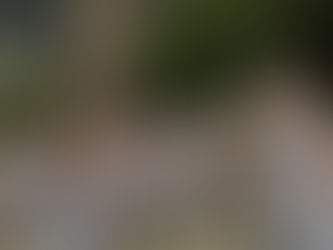 Inicia el camino de la llama olímpica de Grecia a Francia