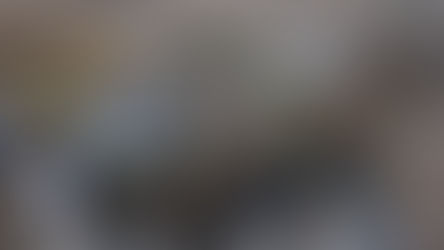 Desactivan bomba de la Segunda Guerra Mundial en Alemania