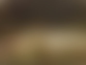 Sorpresiva similitud de video de Taylor Swift con pintura de amafa de Hamlet