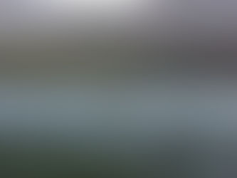 Ordena Trump disparar y destruir cualquier barco que coloque minas en Ormuz