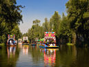 No se autorizan fiestas nocturnas con música amplificada, iluminación de neón y alcohol en zona de Xochimilco