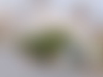 Nuevamente ordena Israel evacuación de 2 pueblos del sur del Líbano para bombardearlos