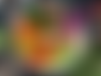 Pros y contras de las dietas de moda