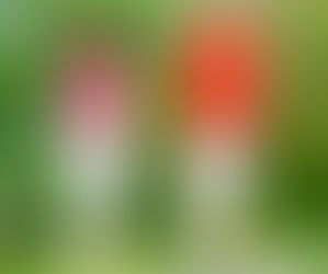 Hay formas de superar la línea de la esperanza de vida, asegura estudio