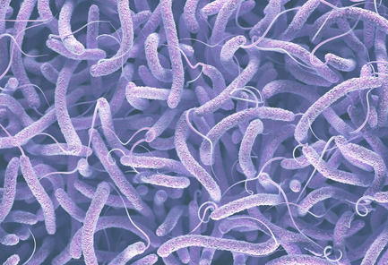 Advierte OMS avance de brote mundial de cólera: pide actuar para frenarlo