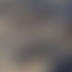 El Consejo de Seguridad de la ONU adopta el plan de Trump para Gaza