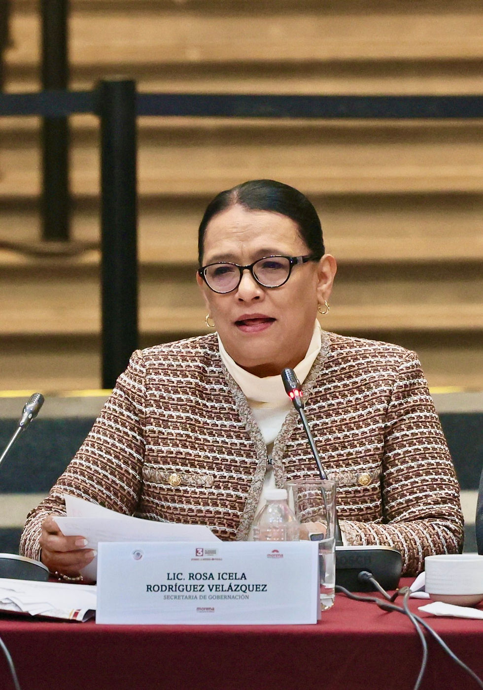 Secretaria de Gobernación, Rosa Icela Rodríguez