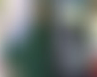 Anuncian redistribución de ingresos por parquímetros en la CDMX