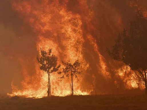 Alarmas del cambio climático suenan en España, Francia y el resto del mundo