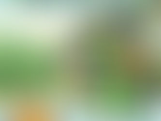 Viste Hegseth a personaje infantil de militar atacando a narcoterroristas: investigan primer ataque en el Caribe