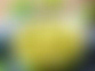 Medidas para evitar infecciones gastrointestinales en temporada de calor