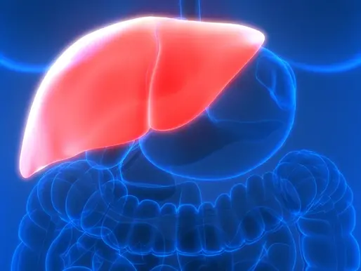 Millones de personas en México padecen problemas renales crónicos