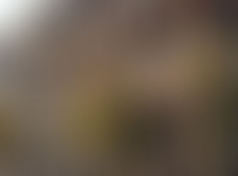 Orienta Profeco a quienes piensen acudir a una casa de empeño ante cuesta de enero