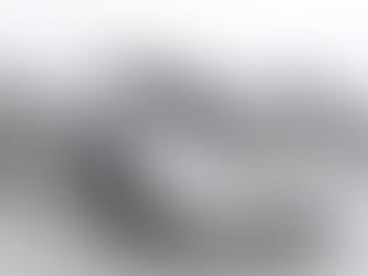 Subastan un Mercedes F1 en una millonada