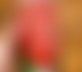 Venden en Reino Unido refresco sabor "libre de genocidio", a propósito de Gaza