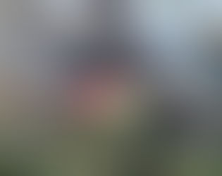 Un sobreviviente en avión que se estrelló en la India (video)