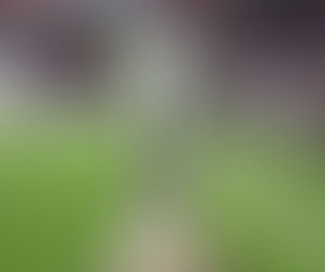 Leverkusen-Roma y Marsella-Atalanta, las semifinales de la Europa League