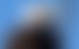 Declara Biden al águila calva ave nacional de Estados Unidos