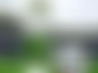 Primer empate sin goles en la Euro entre Francia y Países Bajos: decepcionantes