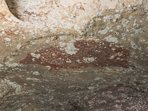 Descubren antiquísimo dibujo en Indonesia: más de 50 mil años