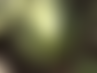 Reubican sandía que crecía en medio de una transitada avenida de Japón