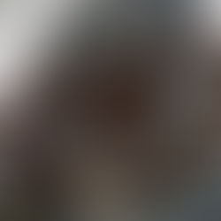 No avala Consejo de Seguridad uso de escoltas armadas a buques mercantes en Ormuz