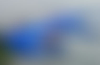 Revisan calidad del agua para permitir competencias en aguas abiertas, dentro del Mundial en Singapur