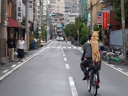Lanzan en Tokio campaña para anunciar introducción de sistema de multas para ciclistas