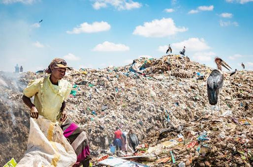 Desperdicio de alimentos: el desafío urgente que marca el Día de Cero Desechos