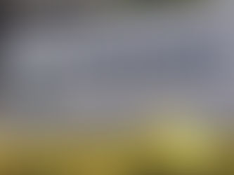 Cofepris autoriza innovador ensayo clínico para tratamiento de hígado graso