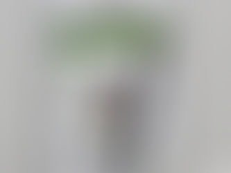 Ralink Rt5390r 802.11bgn Wifi Adapter Driver Download