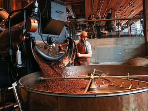 produccion cafe (1).jpeg