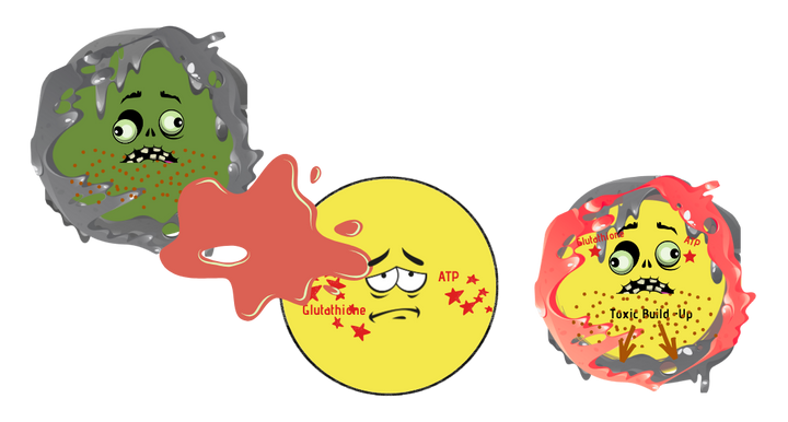 zombie infection.png